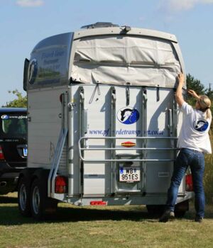 Pferdetransport mit Böckmann Big Master