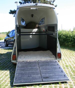 Böckmann Big Master - Fohlentransport