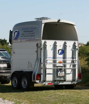 Pferdetransport mit Böckmann Big Master